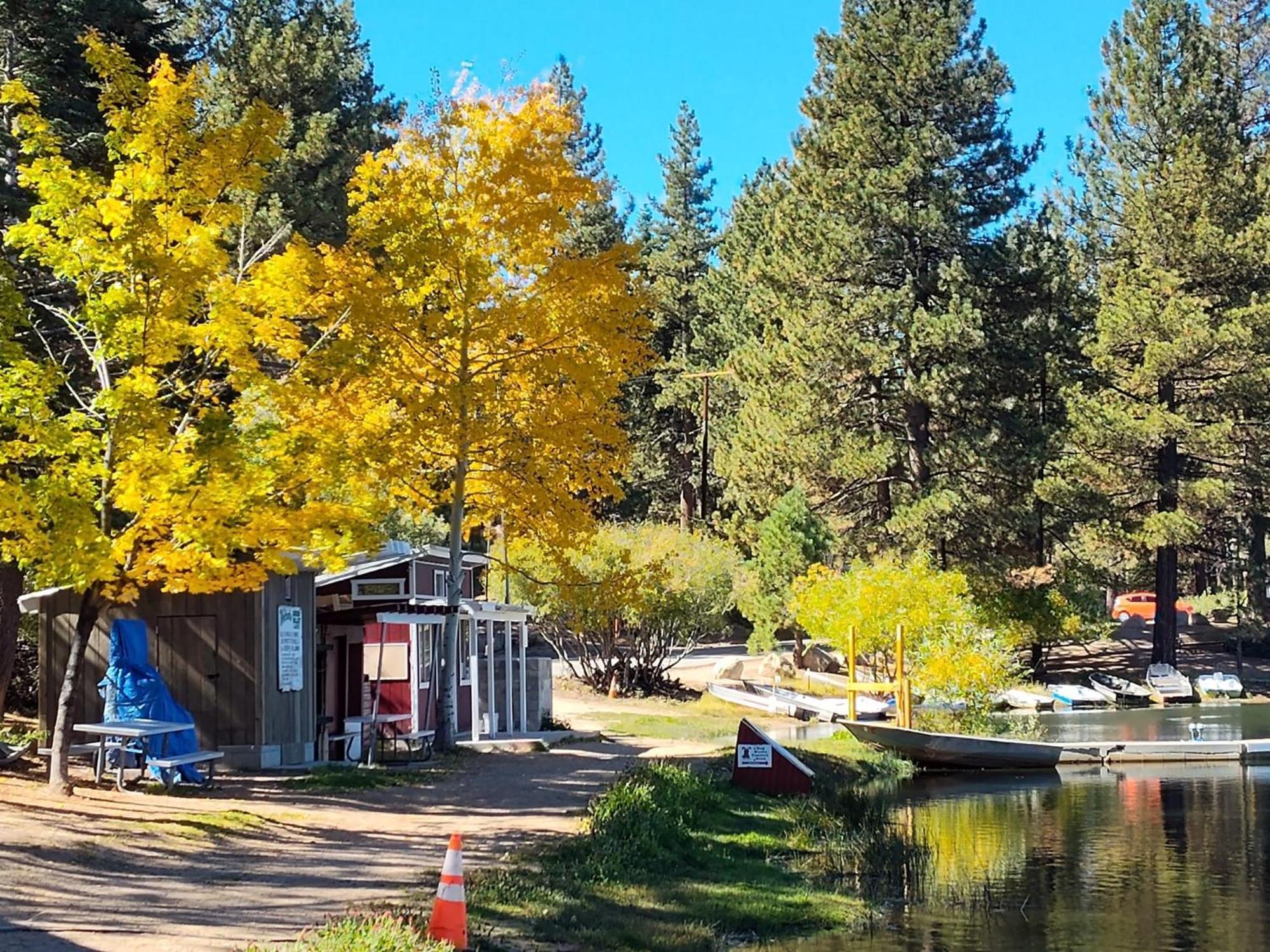 Snow Bunny Cottage, Pets Welcomed! Green Valley Lake Exterior photo